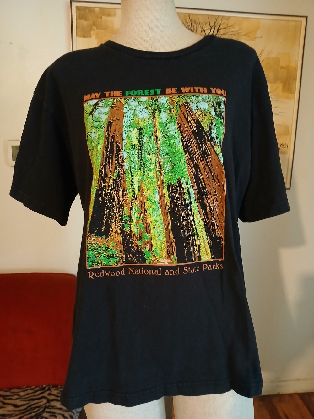Vintage Redwood National and State Parks Black Graphic Tee